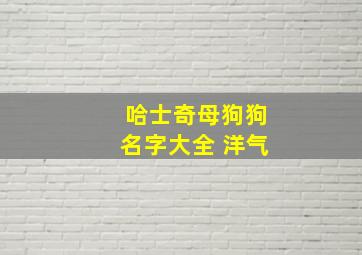 哈士奇母狗狗名字大全 洋气